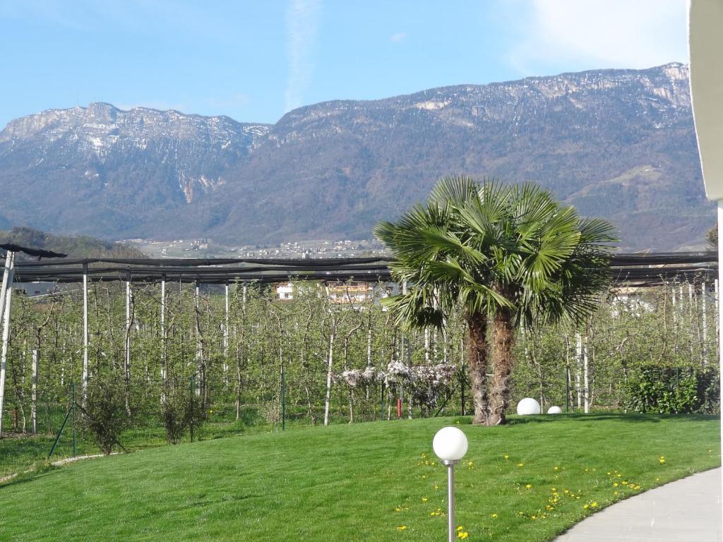 Apartments Klotz Bolzano Exterior photo